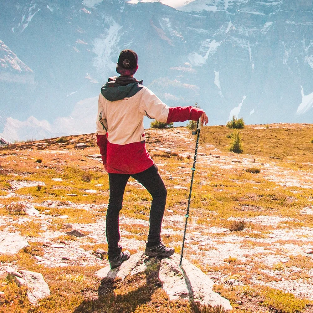 195g/pc Trekking Pole