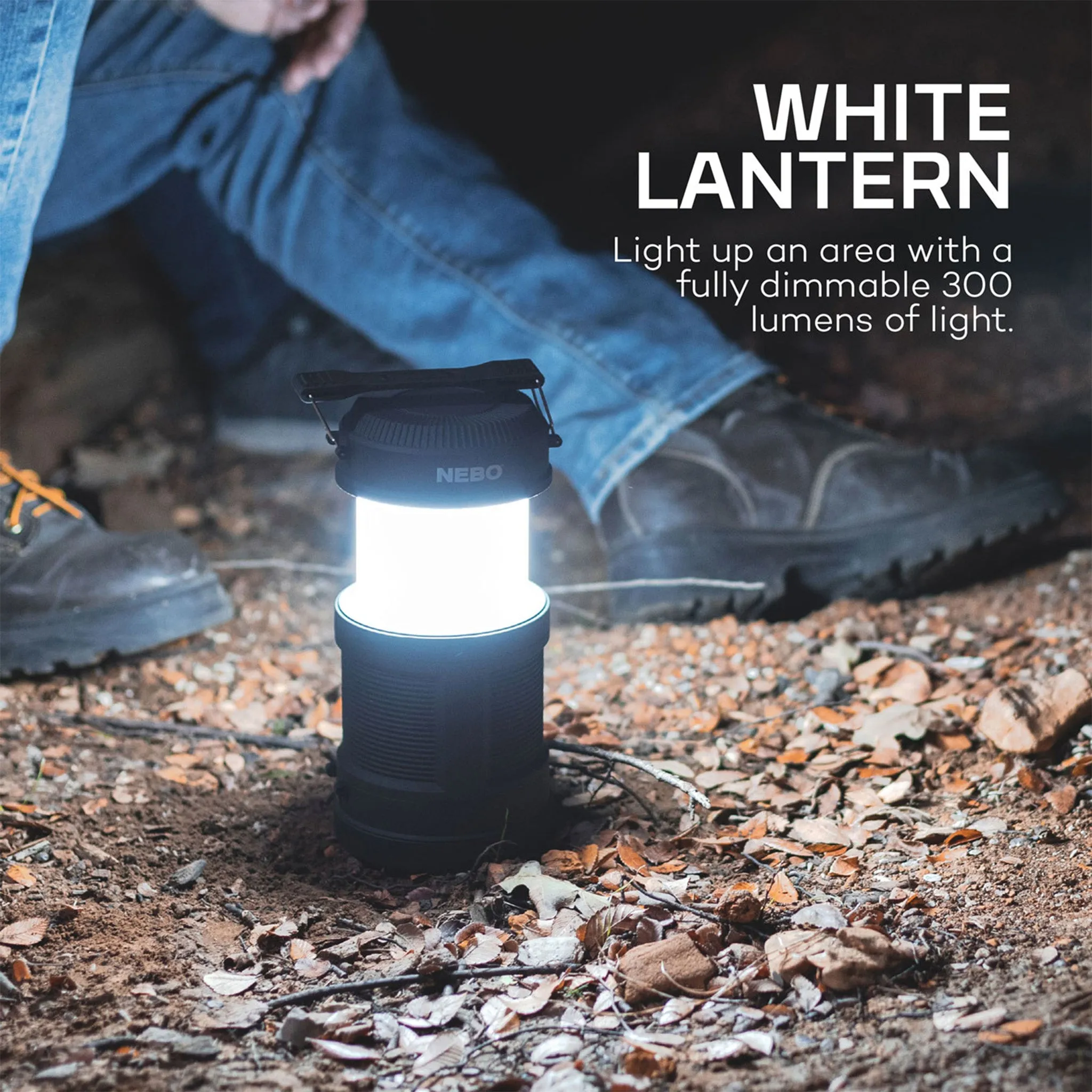 BIG POPPY Rechargeable Spot Light