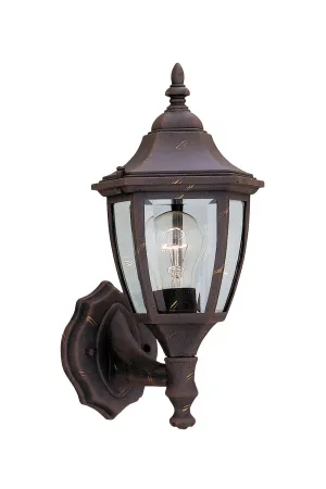 Builder Cast Aluminum One Light Wall Lantern in Autumn Gold