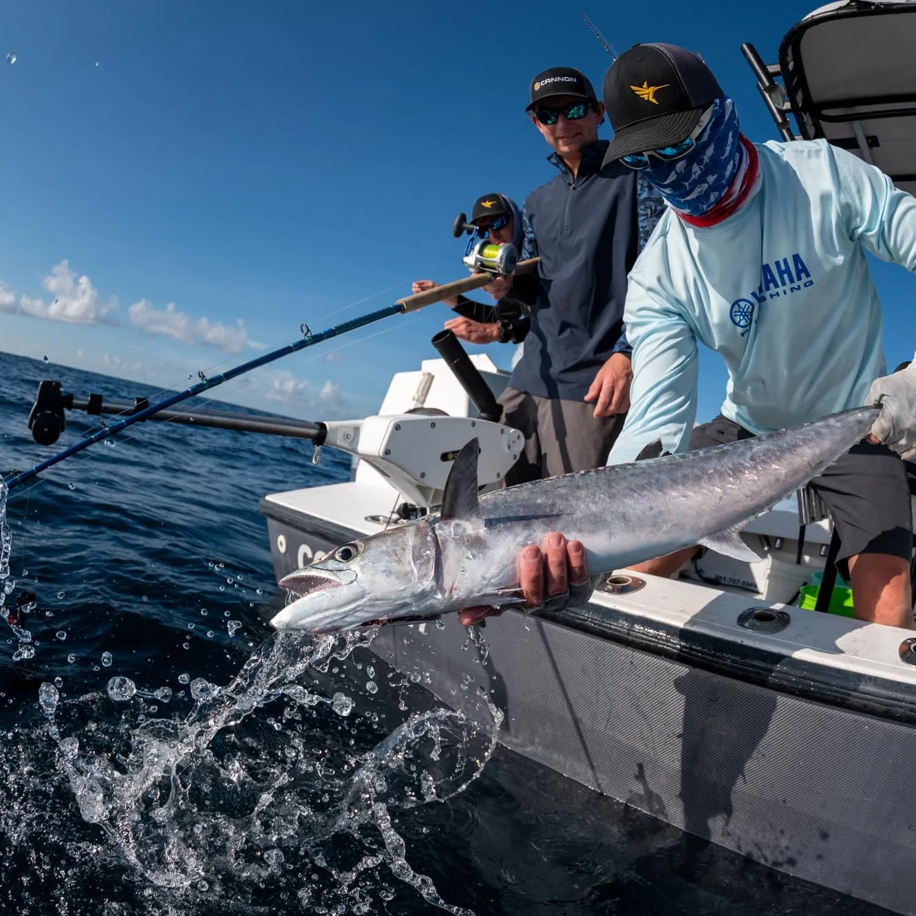 Cannon Magnum Series Electric Downriggers