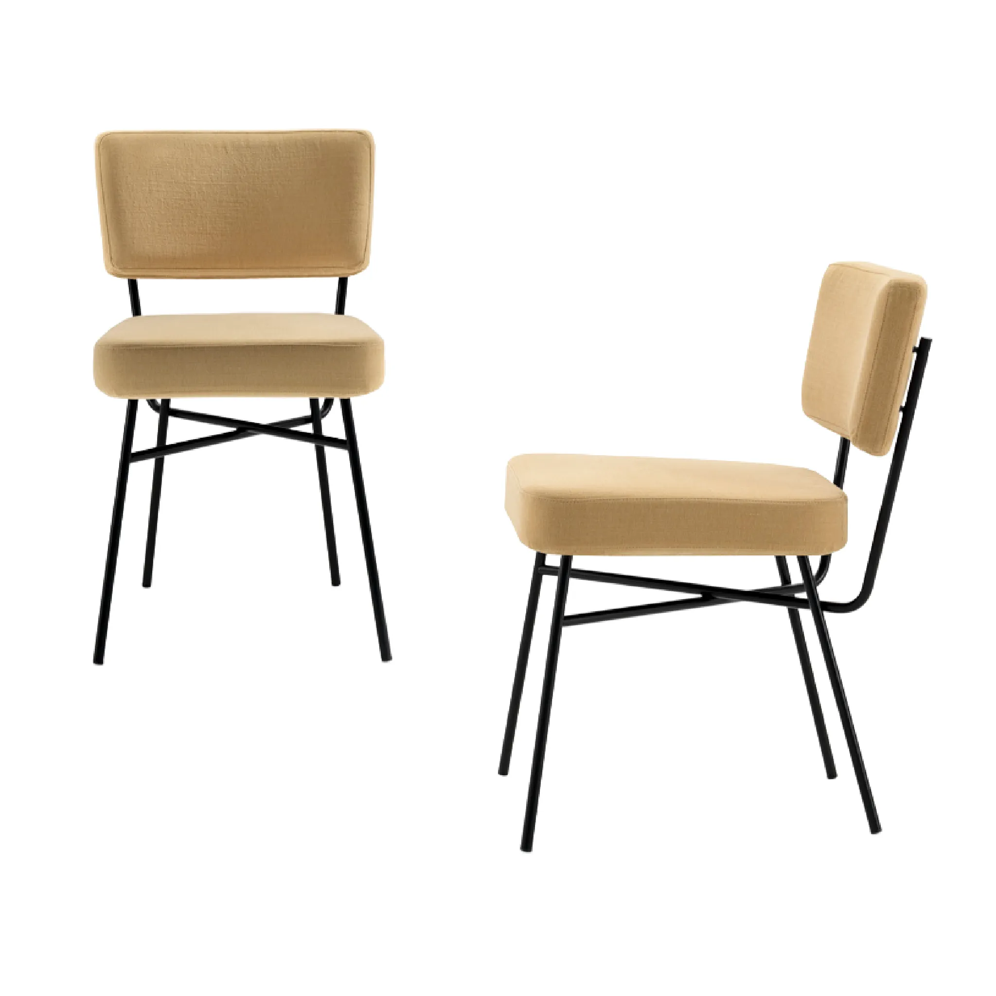 Classic Padded Dining Chair | Arflex Elettra