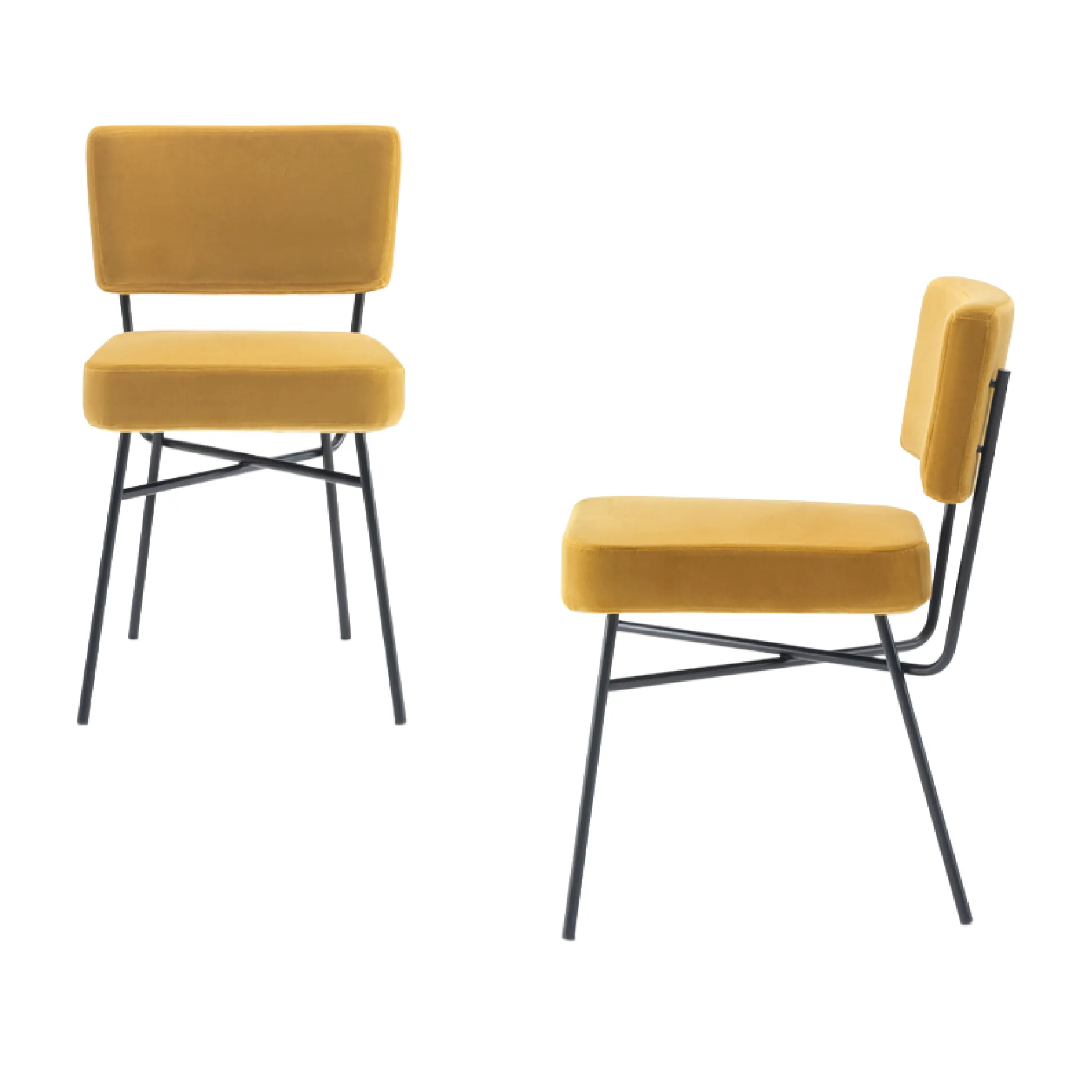 Classic Padded Dining Chair | Arflex Elettra