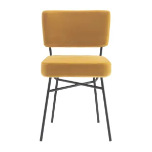 Classic Padded Dining Chair | Arflex Elettra