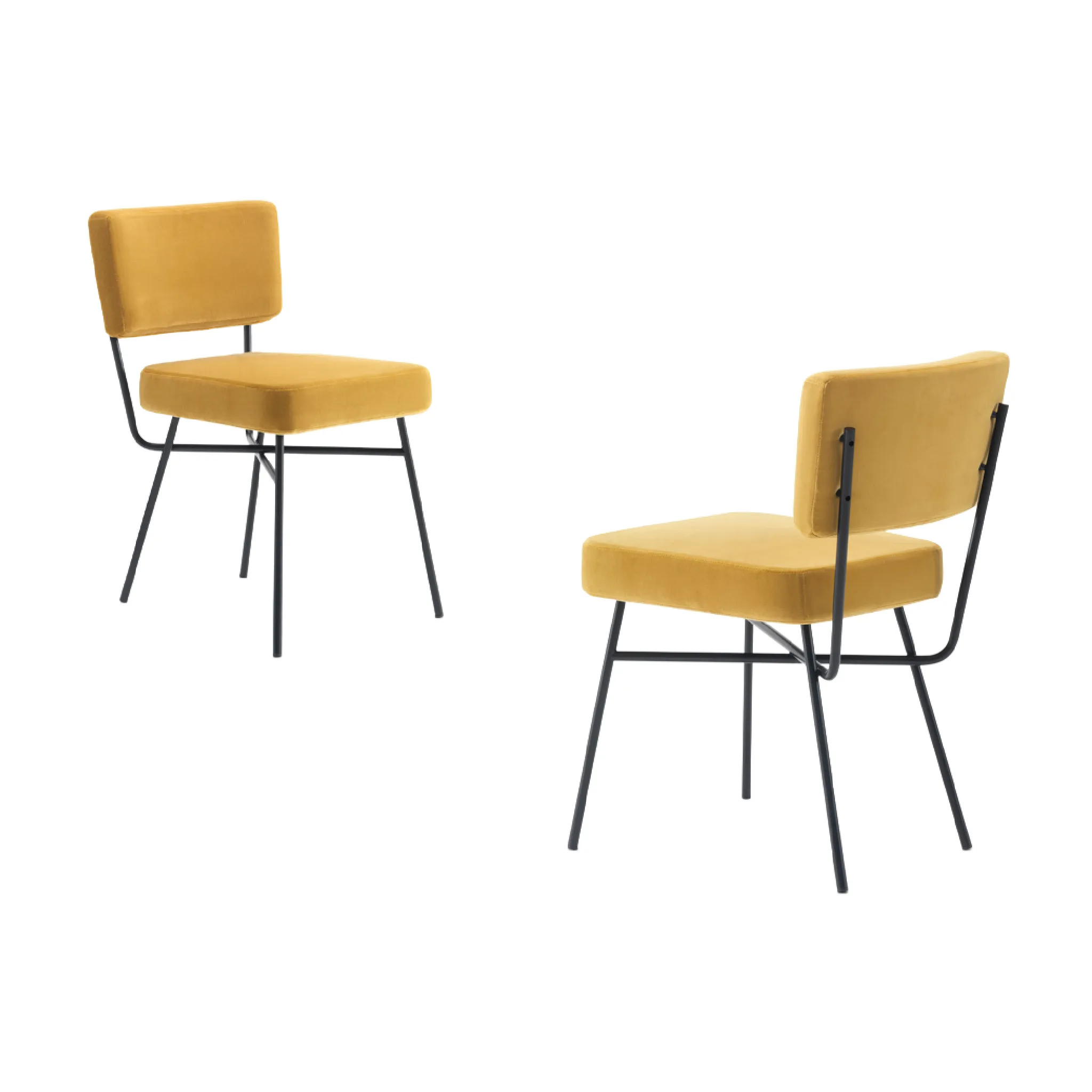 Classic Padded Dining Chair | Arflex Elettra