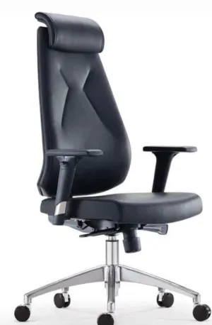 Executive Ergonomic CEO chair