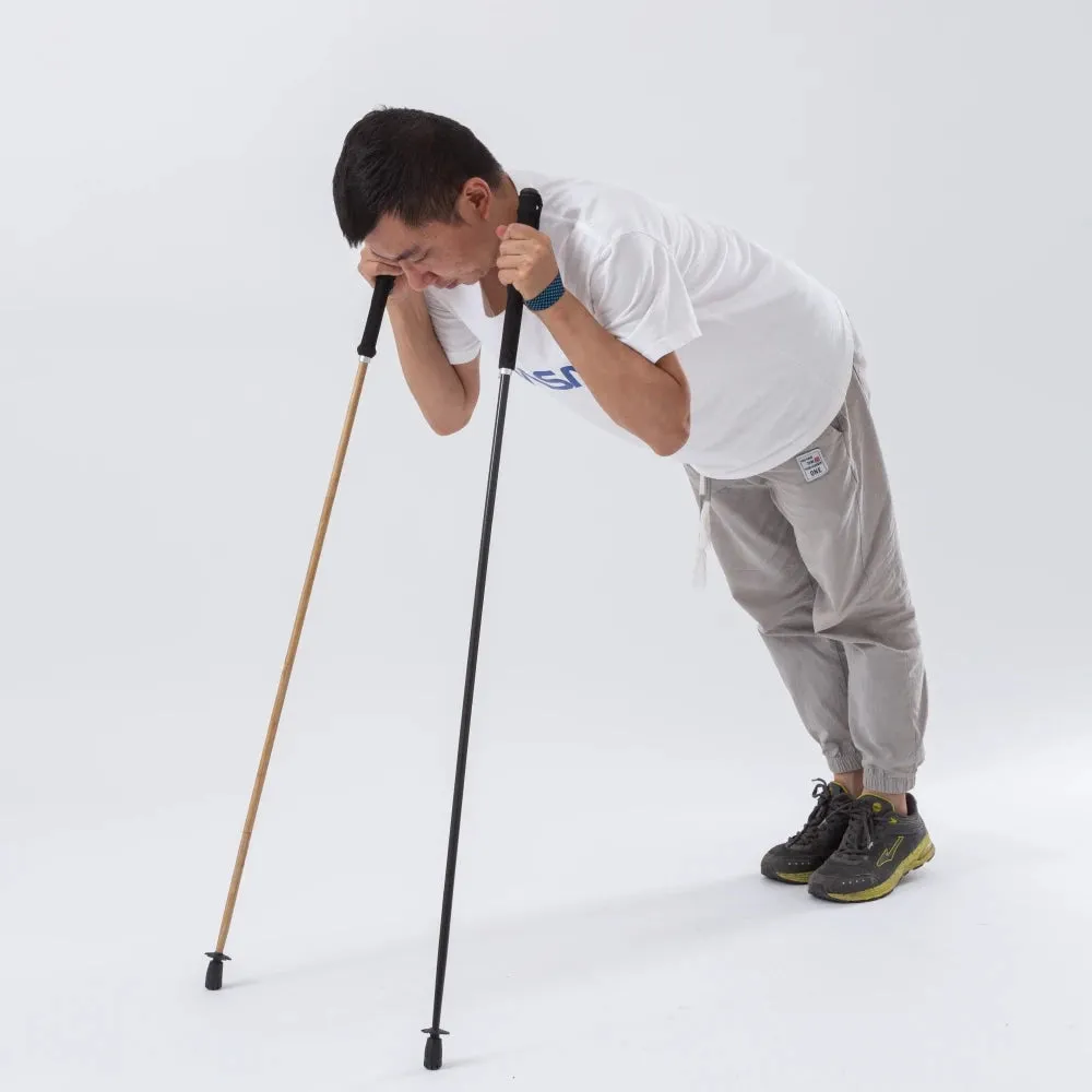 Experience Effortless Hiking with Ultralight Carbon Fiber Trekking Poles