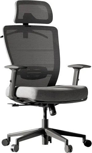 FLEXISPOT Ergonomic Office Chair, High Back Swivel Computer Chair, Home Office Desk Chairs, with 2D Headrest/Adjustable Back Support/Heavy Duty Base, Foam Seat Cushion, Gray