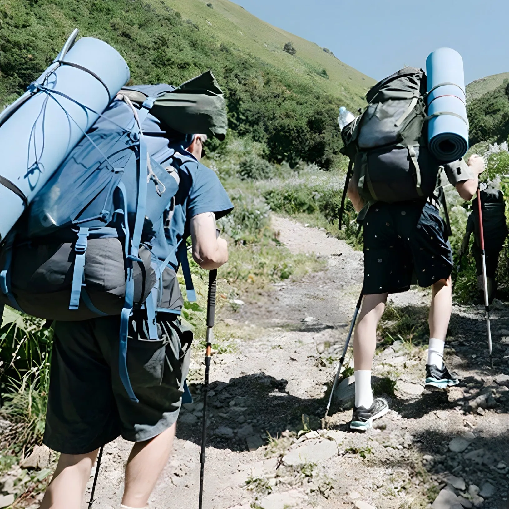 Hiking Pole - Aluminum | Anti-Shock
