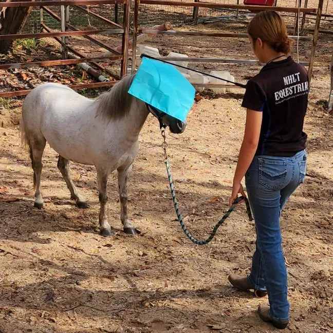 Horsemanship Flag 20" x 20" HD Flag - NEW SIZE!