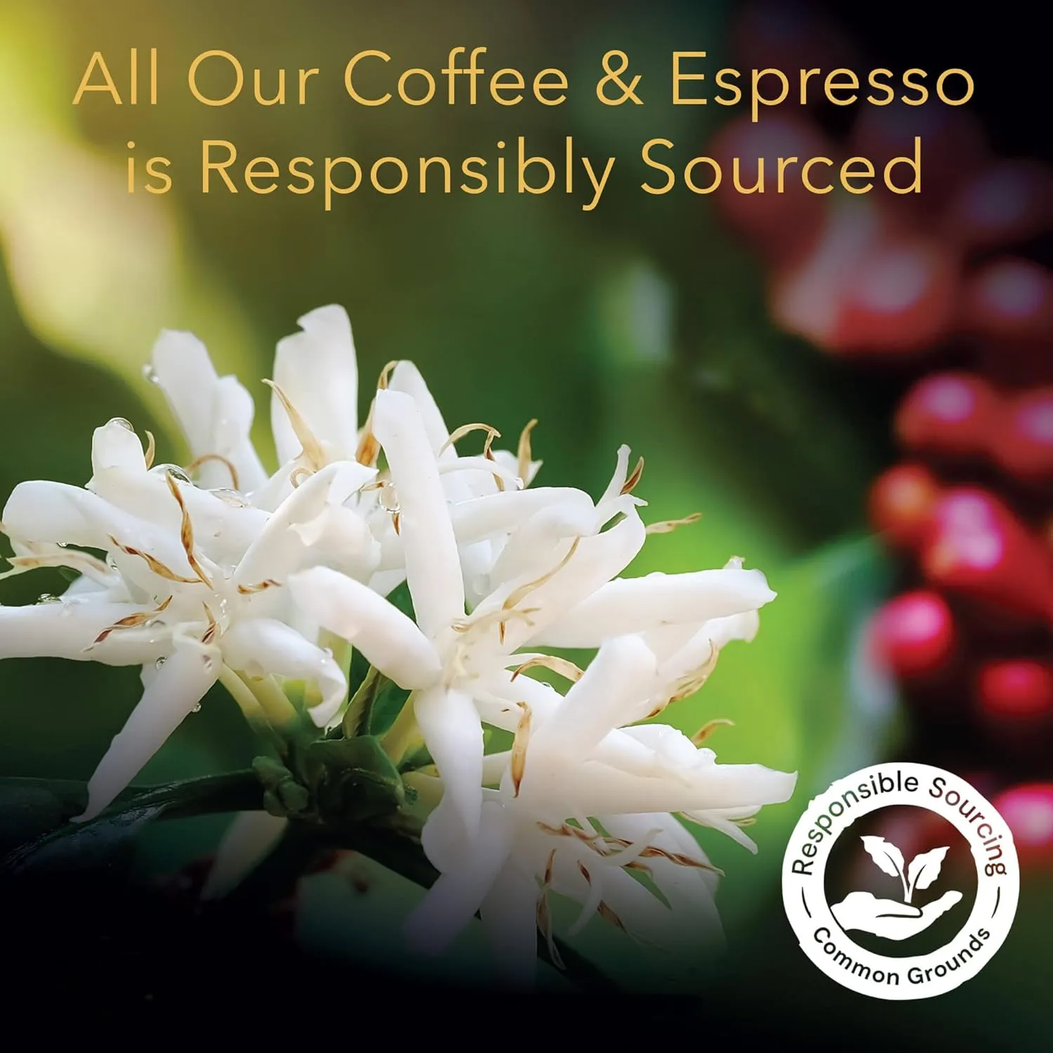 L'OR Espresso Capsules, 50 Count Colombia, Single-Serve Aluminum Coffee Capsules Compatible with the L'OR BARISTA System & *Nespresso Original Machines