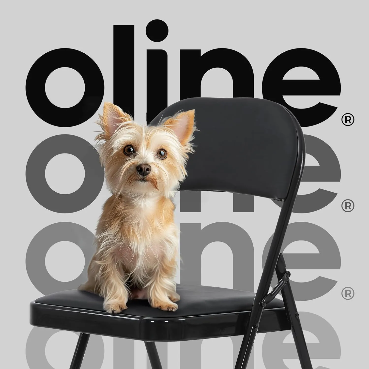 Oline Vinyl Folding Chairs, Padded Vinyl Cushion Chairs with Durable Metal Frame, Indoor Outdoor Stackable Foldable Guest Chairs for Office Wedding Kitchen Dining, 300lb Capacity (Black, 4 Pack)
