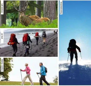 Portable Outdoor Telescopic Walking Stick – Ultralight Aluminum Hiking Trekking Poles with Cork & EVA Grip, Anti-Shock, Tungsten Carbide Tips, Adjustable 62-135cm, SLS Lock System