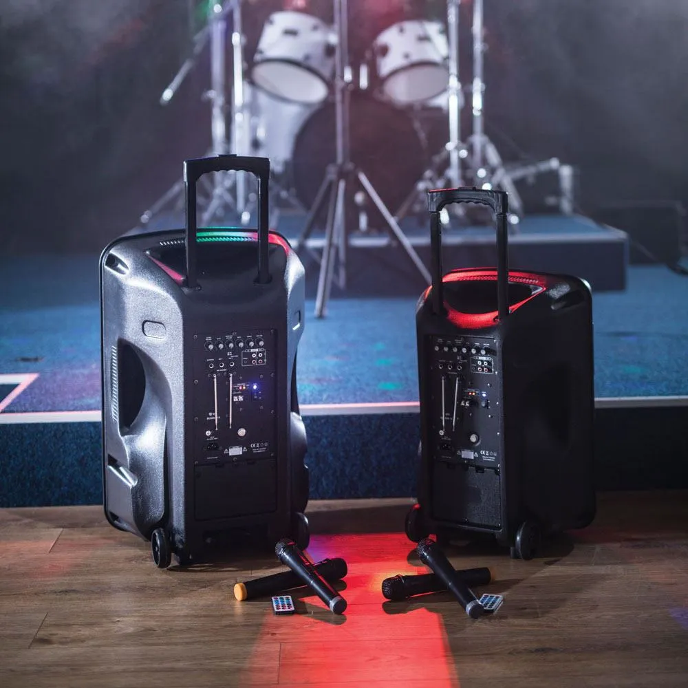 qtx Busker-15 PA   2 x VHF mics   USB/SD/FM/BT