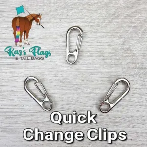 Quick Change Clip