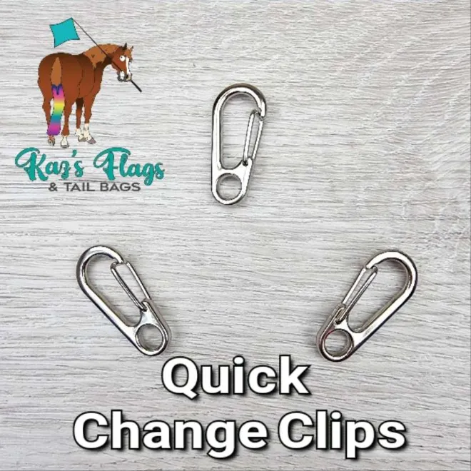 Quick Change Clip