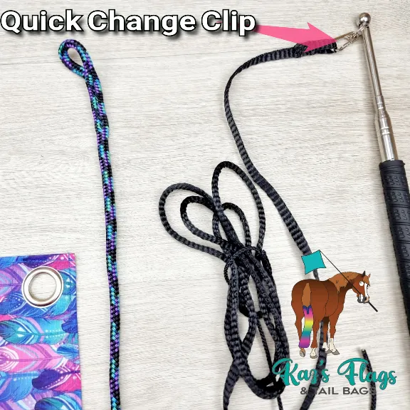 Quick Change Clip