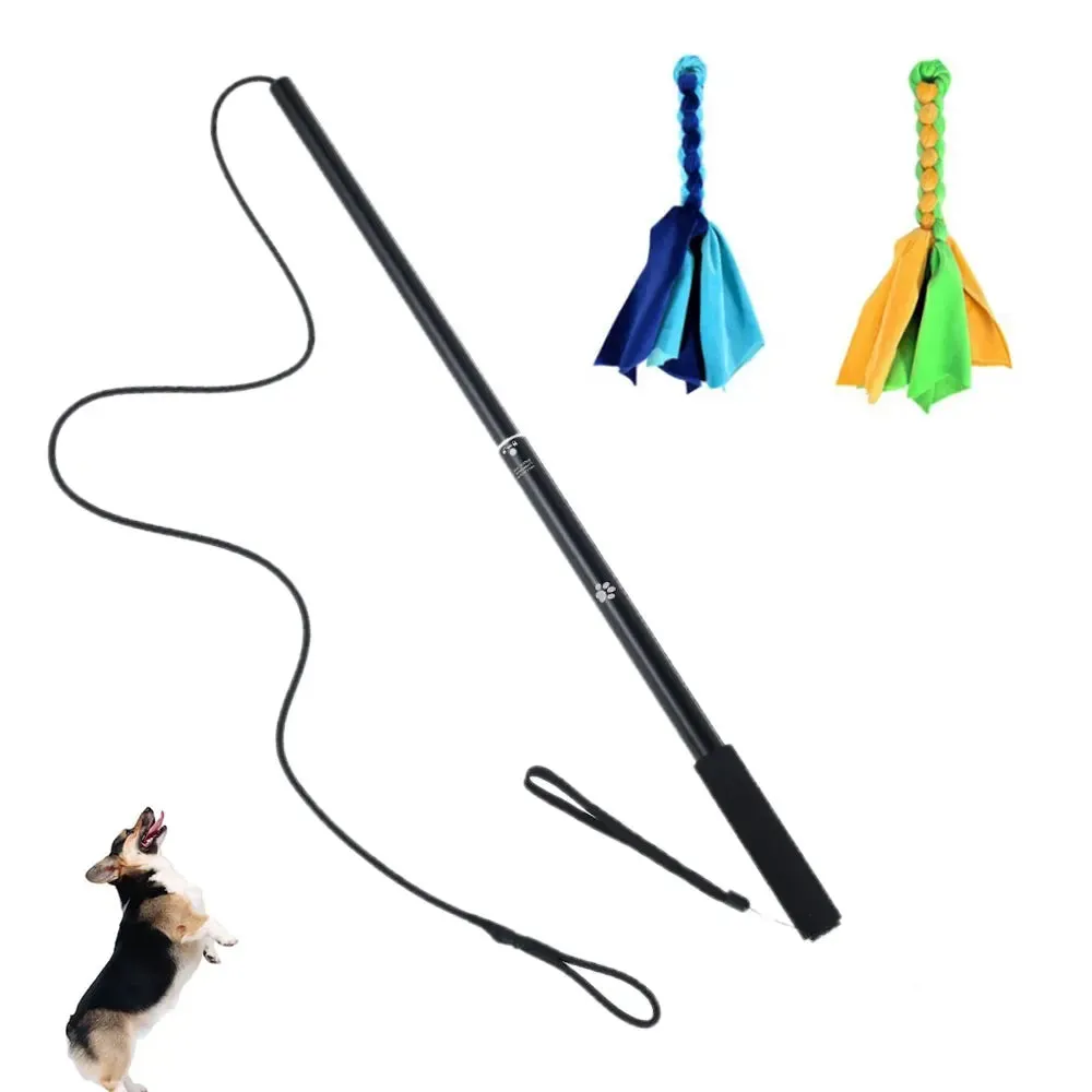 Retractable Flirt Pole