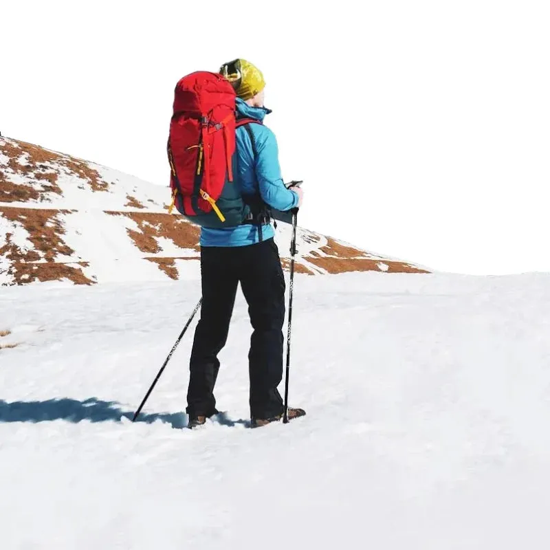 Royaleva Premium Automatic Retractable Hiking Stick