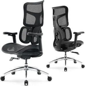 SIHOO Doro S100 Ergonomic Office Chair - with Dual Dynamic Lumbar Support, 5-Level Adjustable Backrest, 4D Coordinated Armrests, 135-degree Max. Recline Angle, Suitable for Home Office (Black)