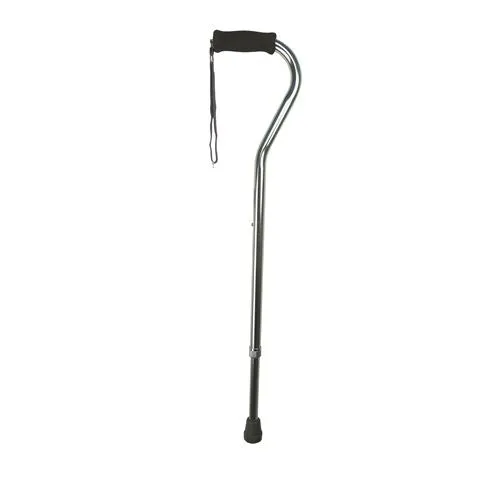 Swan Handle Walking Stick, Silver