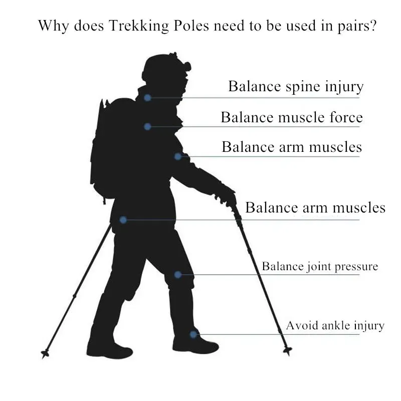 Ultralight Aluminium Alloy Trekking Poles - Adjustable Nordic Walking Sticks for Hiking and Outdoor Exploration