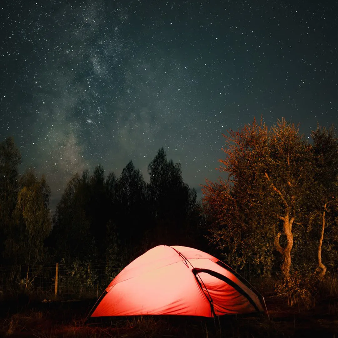 ULTRALIGHT CARBONE MP  20K/20K